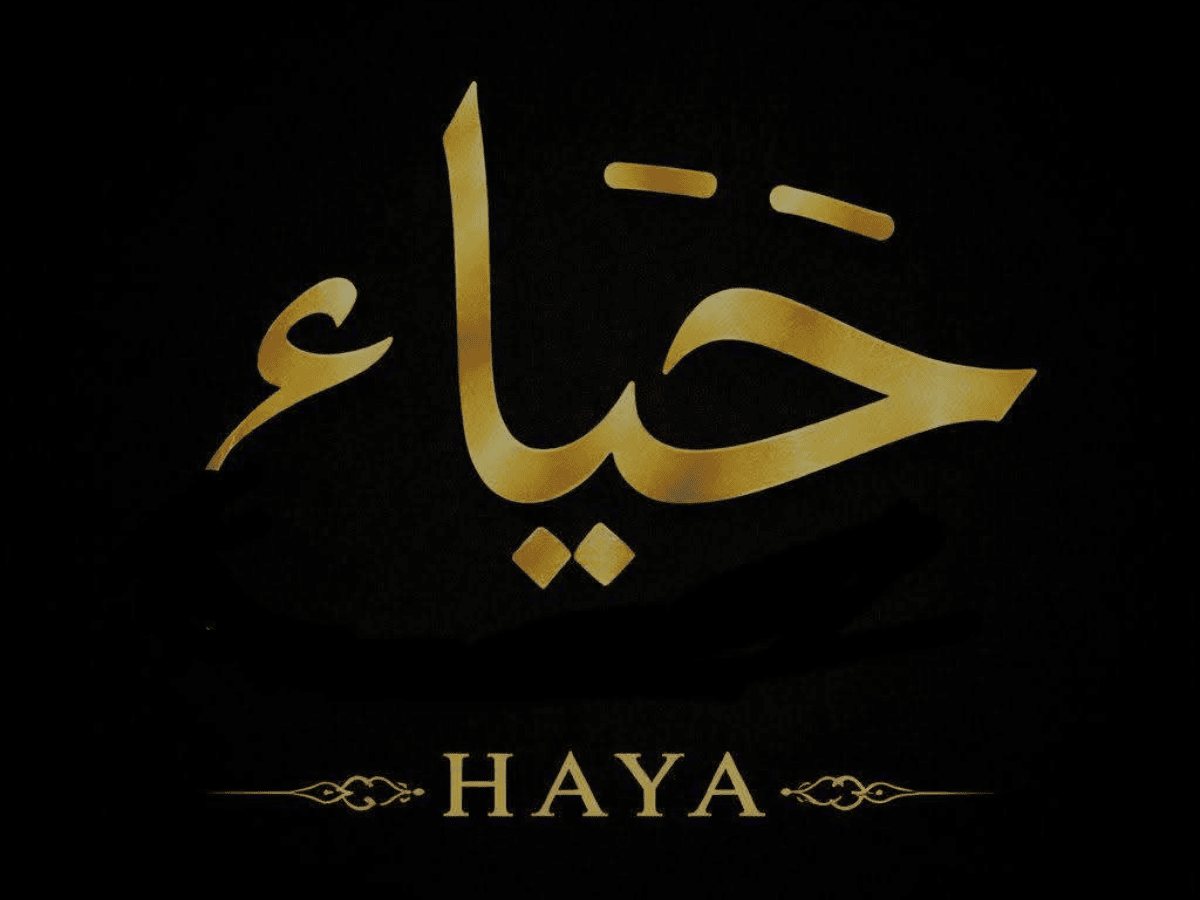 Haya BD — WooCommerce Fashion Store — Gallery image 1